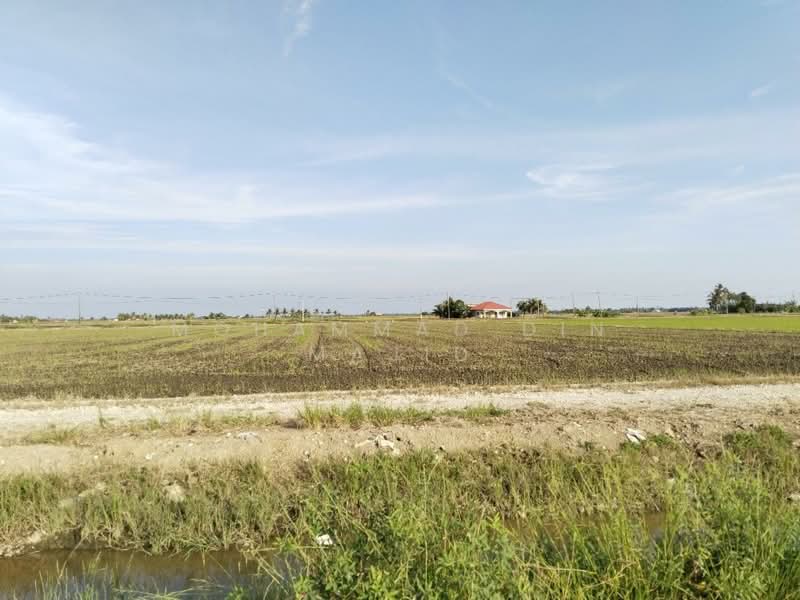 Agricultural Land for Sale in Tanjung Karang (Selangor) - Mohammad Din Majid - PropertyGuru.com.my