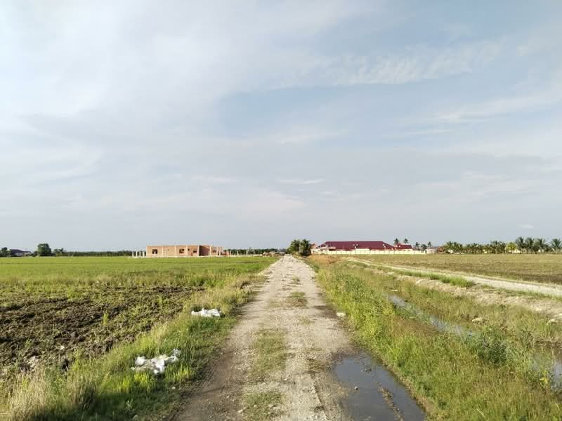 Agricultural Land for Sale in Tanjung Karang (Selangor) - Mohammad Din Majid - PropertyGuru.com.my