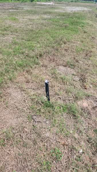 Residential Land for Sale in Kampung Lombong (Shah Alam) - Mohammad Din Majid - PropertyGuru.com.my