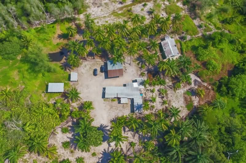 Agricultural Land for Sale in Kampung Batu Laut (Tanjong Sepat) - Mohammad Din Majid - PropertyGuru.com.my