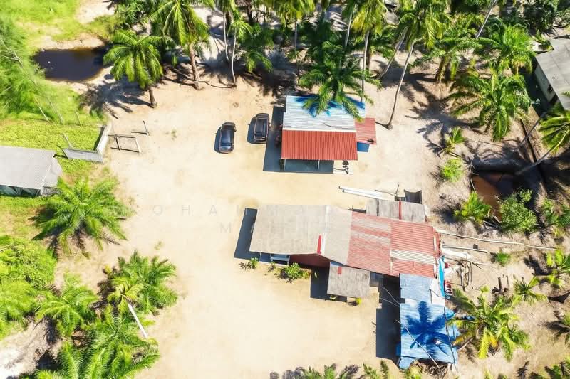Agricultural Land for Sale in Kampung Batu Laut (Tanjong Sepat) - Mohammad Din Majid - PropertyGuru.com.my