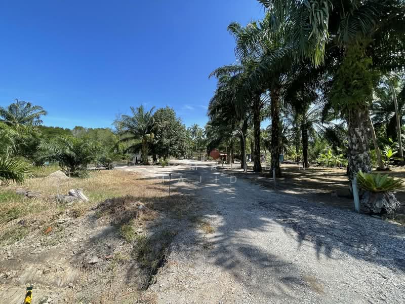 Agricultural Land for Sale in Kampung Batu Laut (Tanjong Sepat) - Mohammad Din Majid - PropertyGuru.com.my