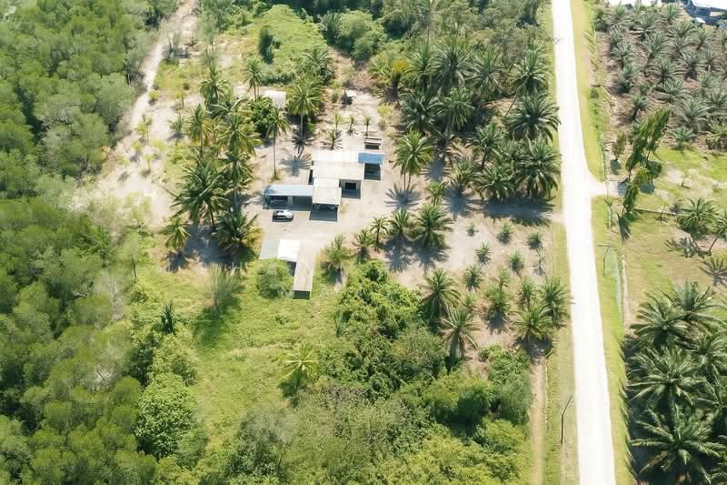 Agricultural Land for Sale in Kampung Batu Laut (Tanjong Sepat) - Mohammad Din Majid - PropertyGuru.com.my