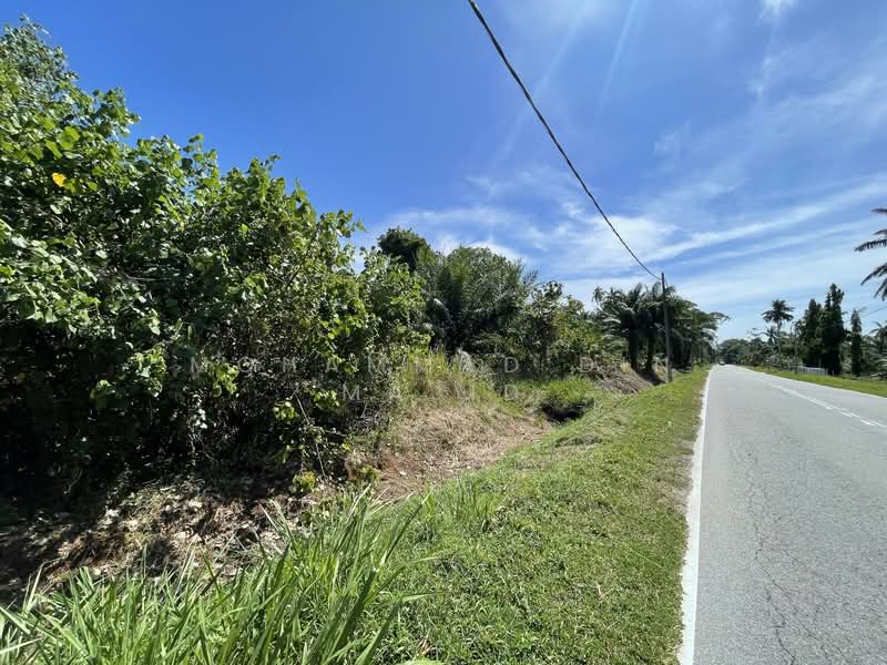 Agricultural Land for Sale in Kampung Batu Laut (Tanjong Sepat) - Mohammad Din Majid - PropertyGuru.com.my