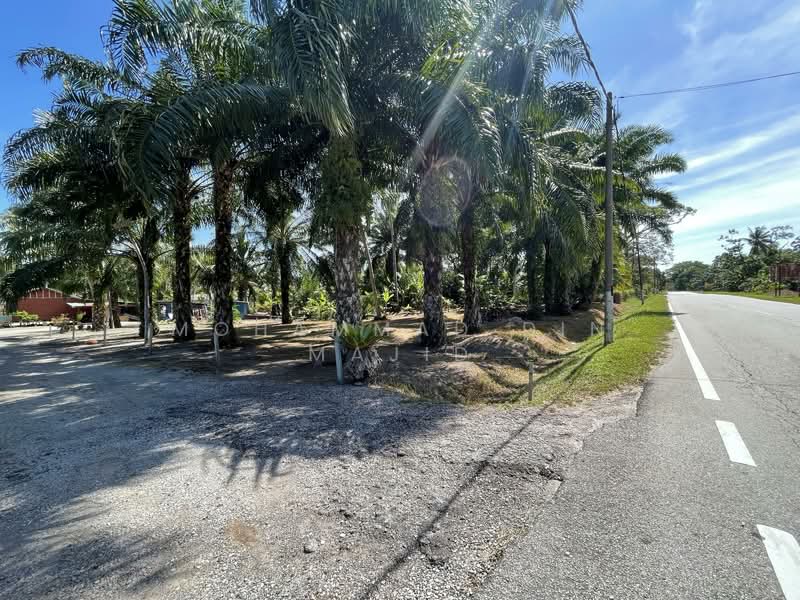 Agricultural Land for Sale in Kampung Batu Laut (Tanjong Sepat) - Mohammad Din Majid - PropertyGuru.com.my