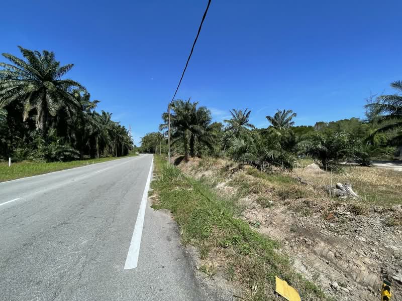Agricultural Land for Sale in Kampung Batu Laut (Tanjong Sepat) - Mohammad Din Majid - PropertyGuru.com.my