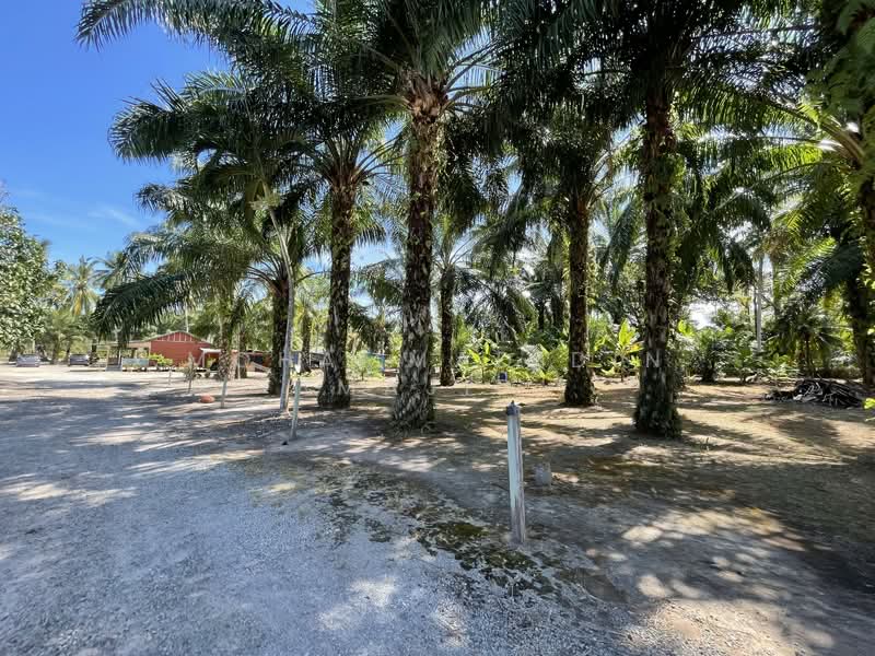 Agricultural Land for Sale in Kampung Batu Laut (Tanjong Sepat) - Mohammad Din Majid - PropertyGuru.com.my