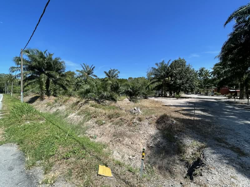 Agricultural Land for Sale in Kampung Batu Laut (Tanjong Sepat) - Mohammad Din Majid - PropertyGuru.com.my