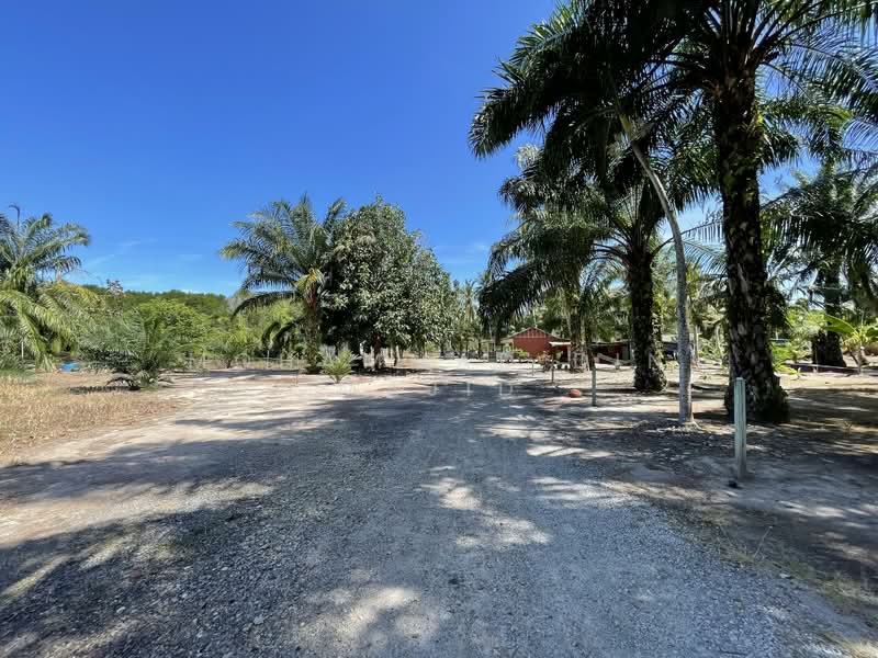 Agricultural Land for Sale in Kampung Batu Laut (Tanjong Sepat) - Mohammad Din Majid - PropertyGuru.com.my