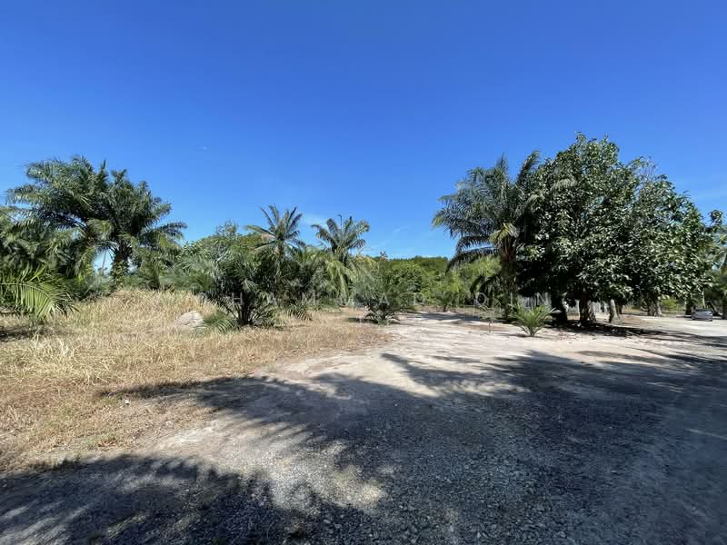 Agricultural Land for Sale in Kampung Batu Laut (Tanjong Sepat) - Mohammad Din Majid - PropertyGuru.com.my