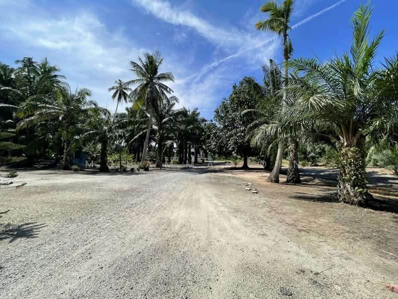 Agricultural Land for Sale in Kampung Batu Laut (Tanjong Sepat) - Mohammad Din Majid - PropertyGuru.com.my