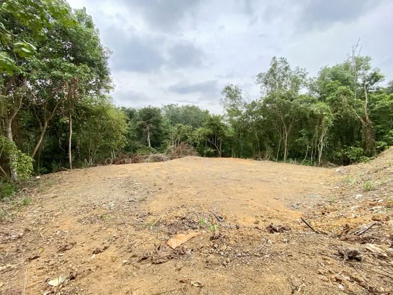 Untuk Dijual - Kampung Sungai Merab Luar