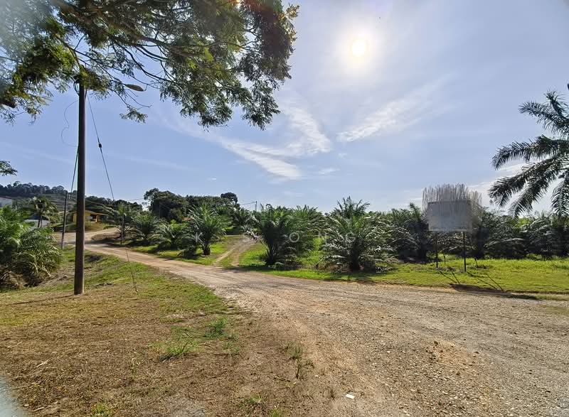 Agricultural Land for Sale in Johor Bahru (Johor) - K S Ong - Exterior - PropertyGuru.com.my