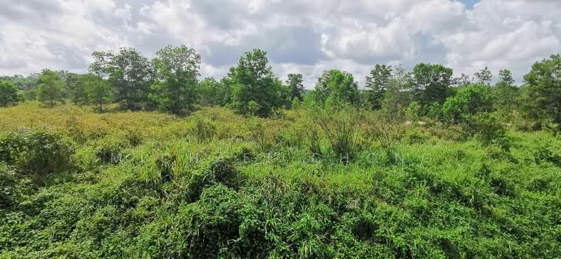 Industrial Land for Sale in Ulu Choh (Jeram Batu) - Michael Chong - Exterior - PropertyGuru.com.my
