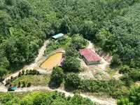 For Sale - Kampung Rembang Panas Kuala Pilah