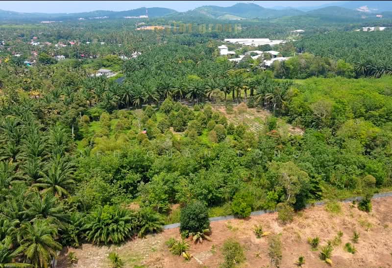 Tanah Pertanian untuk Dijual di Bukit Mertajam (Penang) - Teh Guan Fong - Exterior - PropertyGuru.com.my