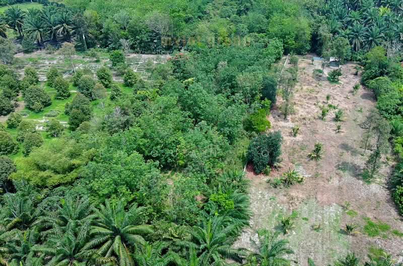 Tanah Pertanian untuk Dijual di Bukit Mertajam (Penang) - Teh Guan Fong - Exterior - PropertyGuru.com.my