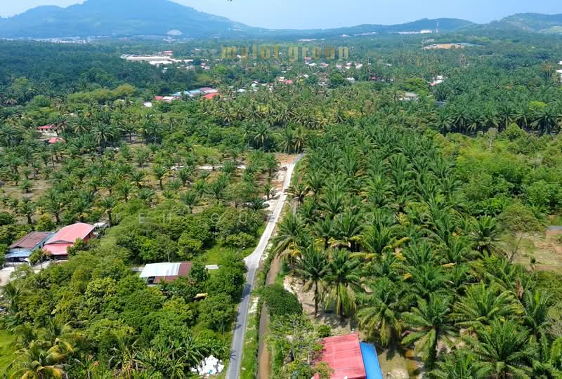 Tanah Pertanian untuk Dijual di Bukit Mertajam (Penang) - Teh Guan Fong - Exterior - PropertyGuru.com.my