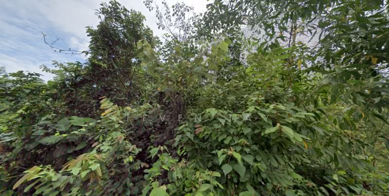For Sale - Pajam