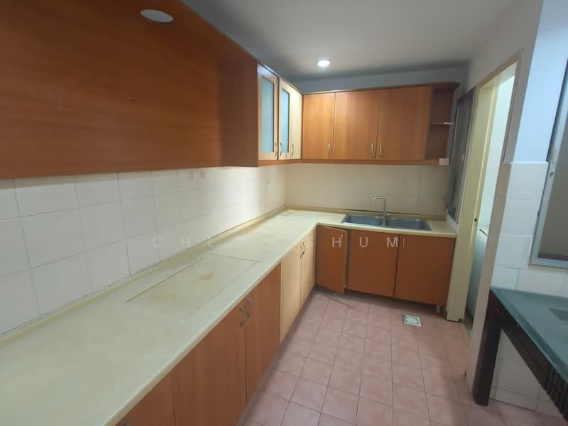Condominium for Rent at Palm Spring @ Damansara - Chloe Shum - Kitchen - PropertyGuru.com.my
