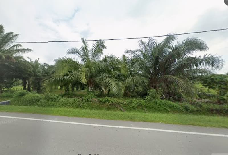 Tanah Pertanian untuk Dijual di Nyalas (Melaka) - May . - PropertyGuru.com.my
