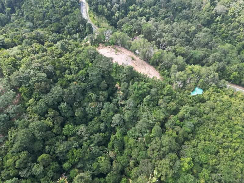 Agricultural Land for Sale in Kuala Pilah (Negeri Sembilan) - Mohd Faizal - PropertyGuru.com.my