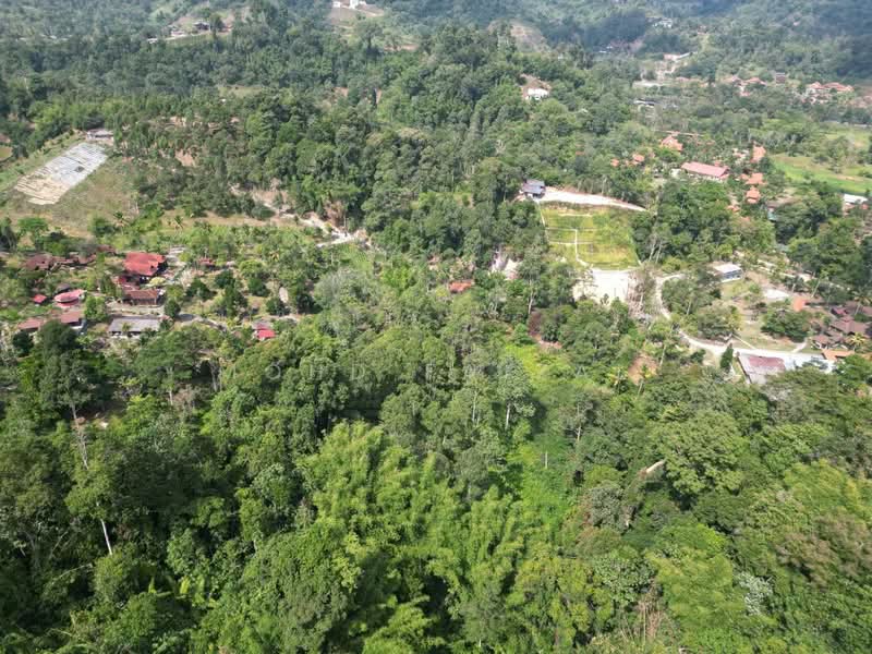 Agricultural Land for Sale in Kuala Pilah (Negeri Sembilan) - Mohd Faizal - Exterior - PropertyGuru.com.my