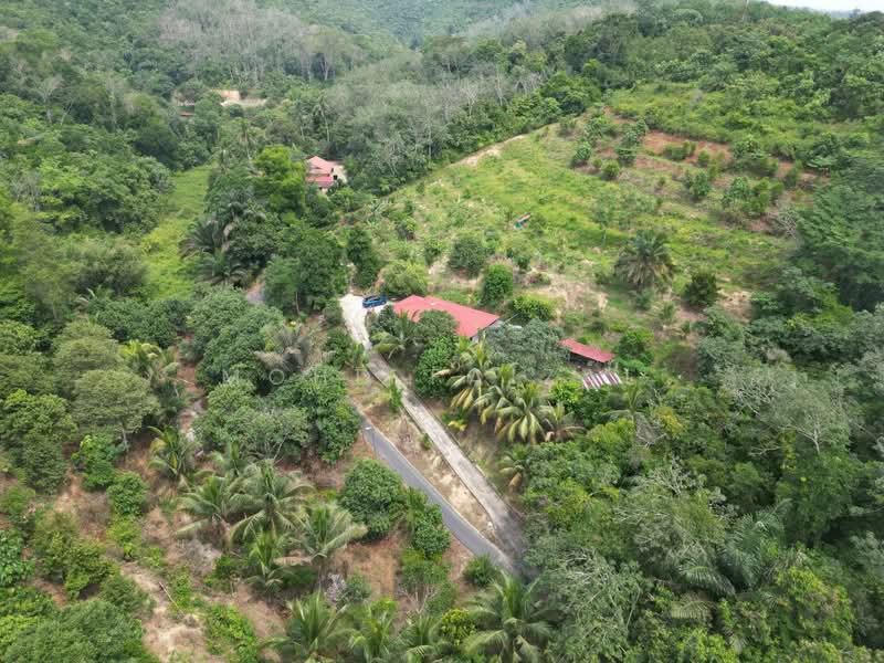 Agricultural Land for Sale in Kuala Pilah (Negeri Sembilan) - Mohd Faizal - Exterior - PropertyGuru.com.my