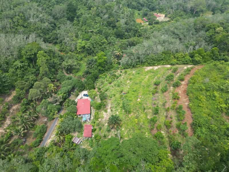 Agricultural Land for Sale in Kuala Pilah (Negeri Sembilan) - Mohd Faizal - Exterior - PropertyGuru.com.my
