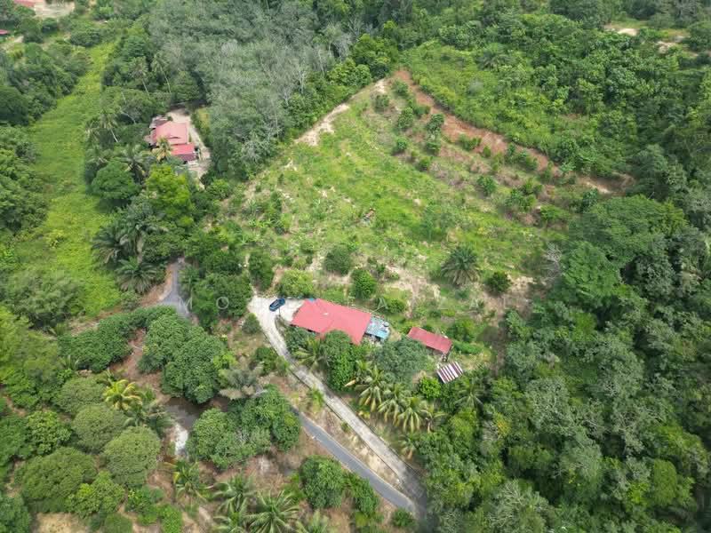 Agricultural Land for Sale in Kuala Pilah (Negeri Sembilan) - Mohd Faizal - Exterior - PropertyGuru.com.my