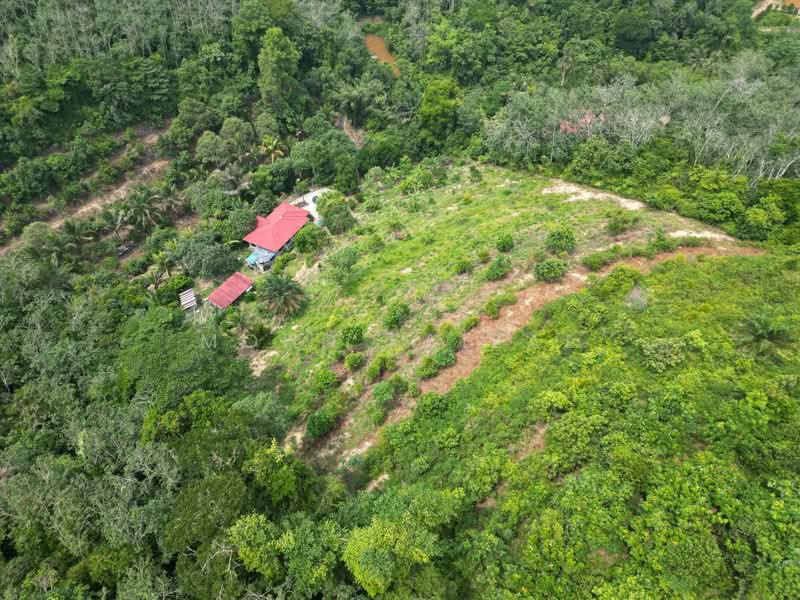 Agricultural Land for Sale in Kuala Pilah (Negeri Sembilan) - Mohd Faizal - Exterior - PropertyGuru.com.my