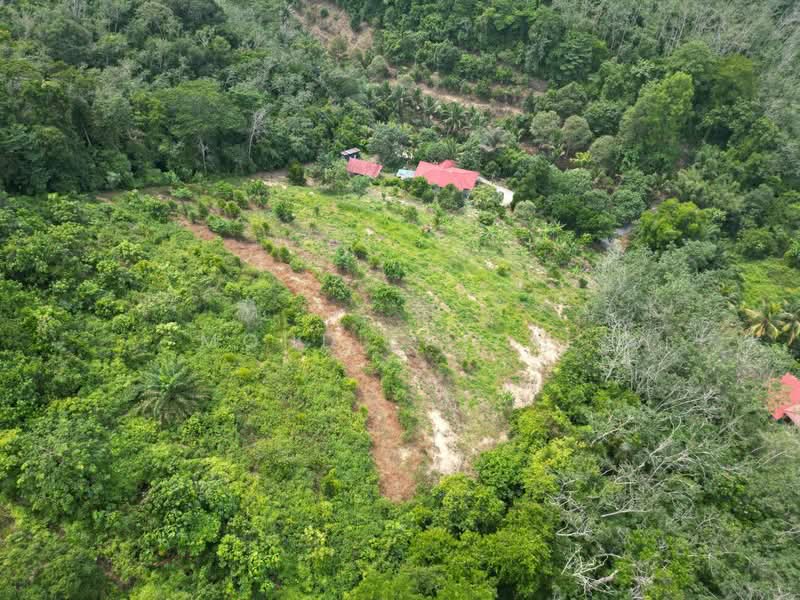 Agricultural Land for Sale in Kuala Pilah (Negeri Sembilan) - Mohd Faizal - Exterior - PropertyGuru.com.my
