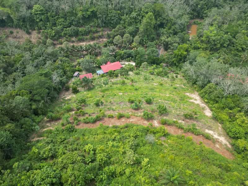 Agricultural Land for Sale in Kuala Pilah (Negeri Sembilan) - Mohd Faizal - Exterior - PropertyGuru.com.my