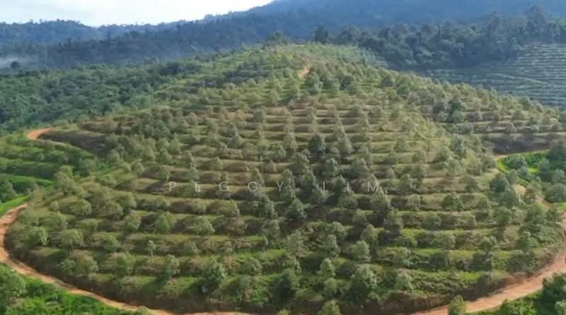 Agricultural Land for Sale in Bentong (Pahang) - Peggy Lim - Exterior - PropertyGuru.com.my