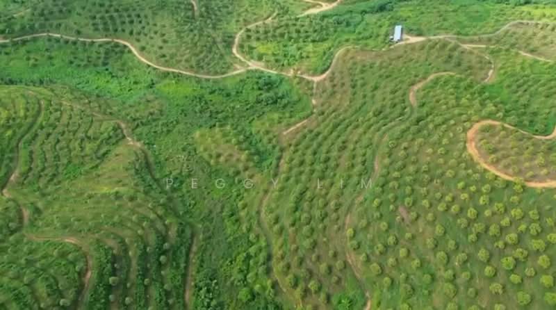 Agricultural Land for Sale in Bentong (Pahang) - Peggy Lim - Exterior - PropertyGuru.com.my