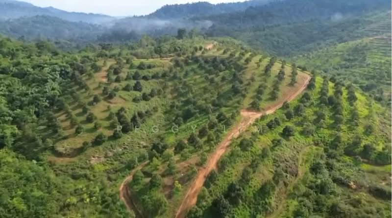 Agricultural Land for Sale in Bentong (Pahang) - Peggy Lim - Exterior - PropertyGuru.com.my