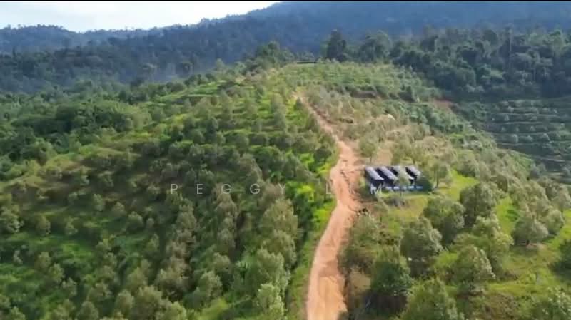 Agricultural Land for Sale in Bentong (Pahang) - Peggy Lim - Exterior - PropertyGuru.com.my