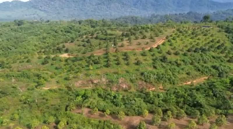 Agricultural Land for Sale in Bentong (Pahang) - Peggy Lim - Exterior - PropertyGuru.com.my