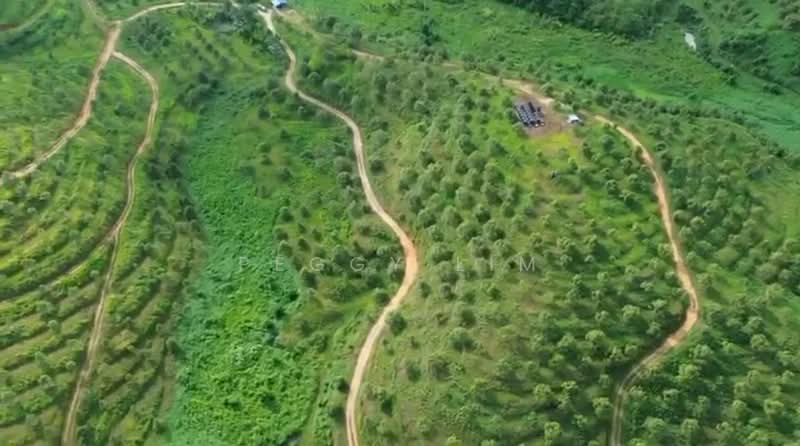 Agricultural Land for Sale in Bentong (Pahang) - Peggy Lim - Exterior - PropertyGuru.com.my