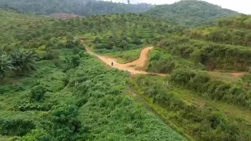 Agricultural Land for Sale in Bentong (Pahang) - Peggy Lim - Exterior - PropertyGuru.com.my