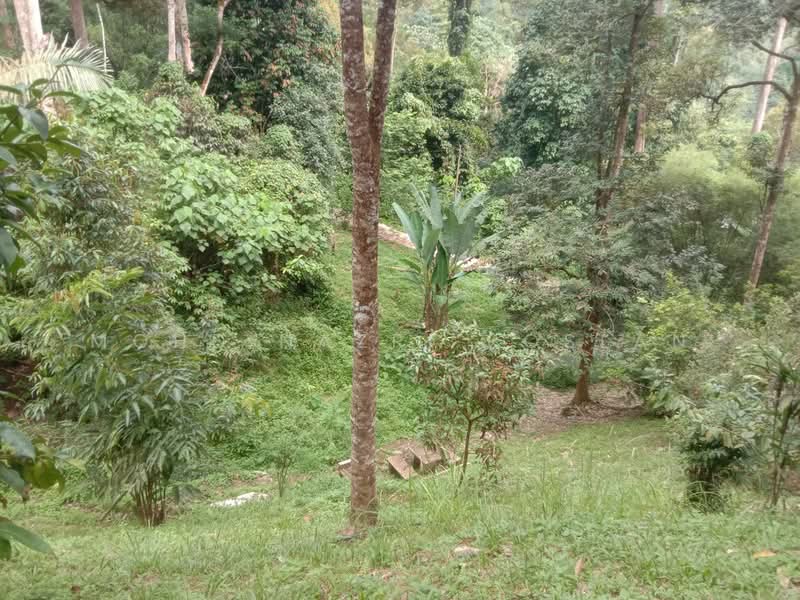 Agricultural Land for Sale in Hulu Langat (Selangor) - Mohd Nazri Roslan - Exterior - PropertyGuru.com.my
