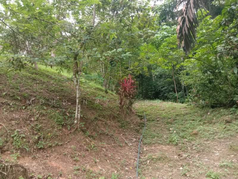 Agricultural Land for Sale in Hulu Langat (Selangor) - Mohd Nazri Roslan - Exterior - PropertyGuru.com.my