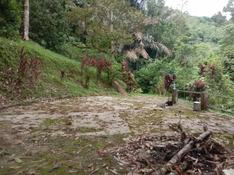 Agricultural Land for Sale in Hulu Langat (Selangor) - Mohd Nazri Roslan - Exterior - PropertyGuru.com.my