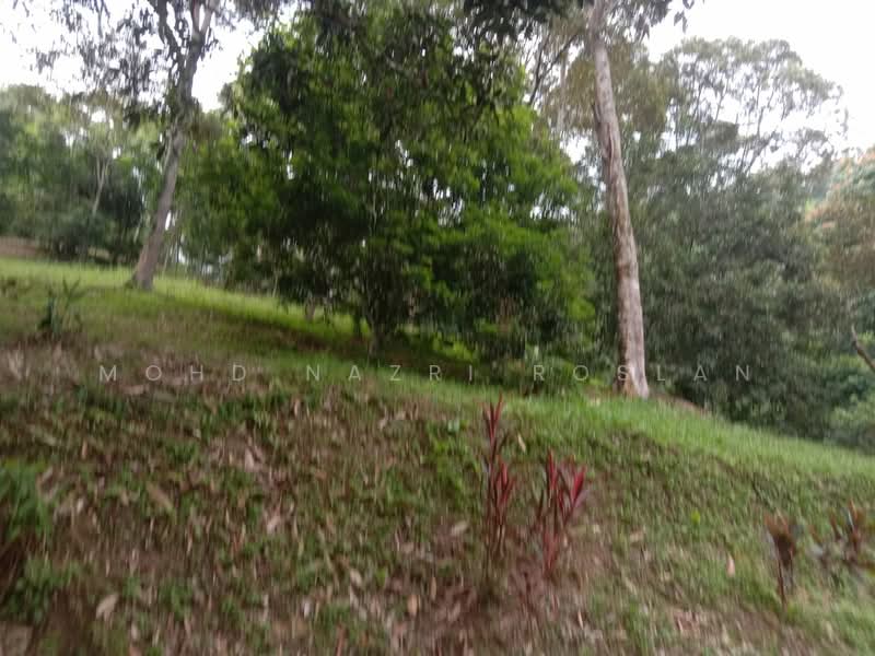 Agricultural Land for Sale in Hulu Langat (Selangor) - Mohd Nazri Roslan - Exterior - PropertyGuru.com.my