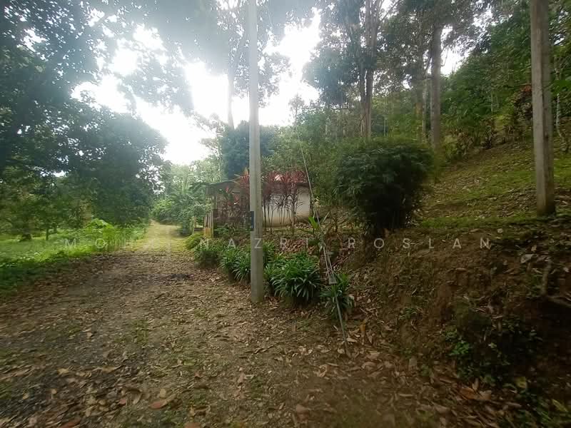 Agricultural Land for Sale in Hulu Langat (Selangor) - Mohd Nazri Roslan - Exterior - PropertyGuru.com.my