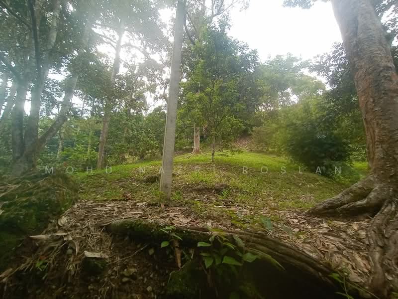 Agricultural Land for Sale in Hulu Langat (Selangor) - Mohd Nazri Roslan - Exterior - PropertyGuru.com.my