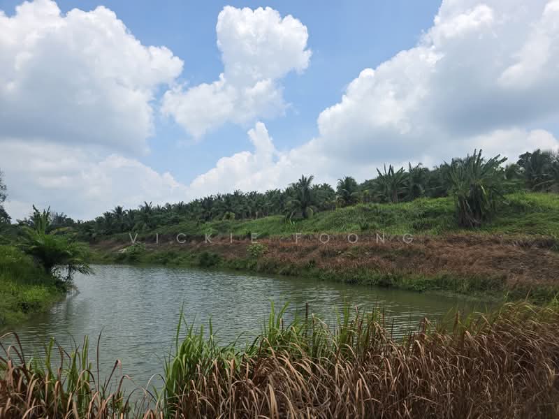 Agricultural Land for Sale in Selandar (Melaka) - Vickie Foong - Exterior - PropertyGuru.com.my