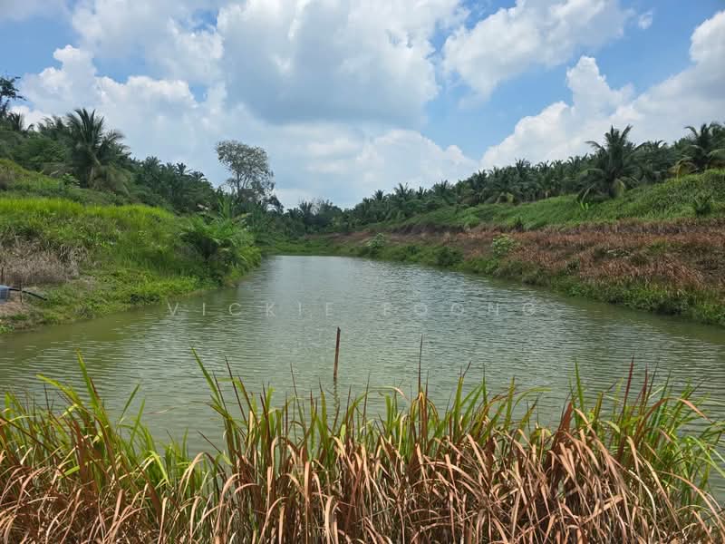 Agricultural Land for Sale in Selandar (Melaka) - Vickie Foong - Exterior - PropertyGuru.com.my