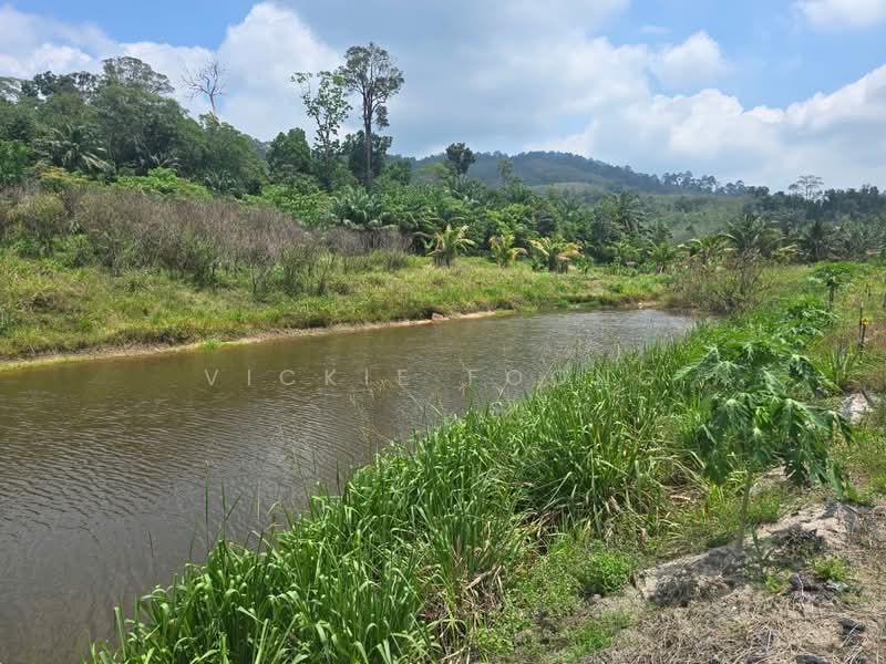 Agricultural Land for Sale in Selandar (Melaka) - Vickie Foong - Exterior - PropertyGuru.com.my