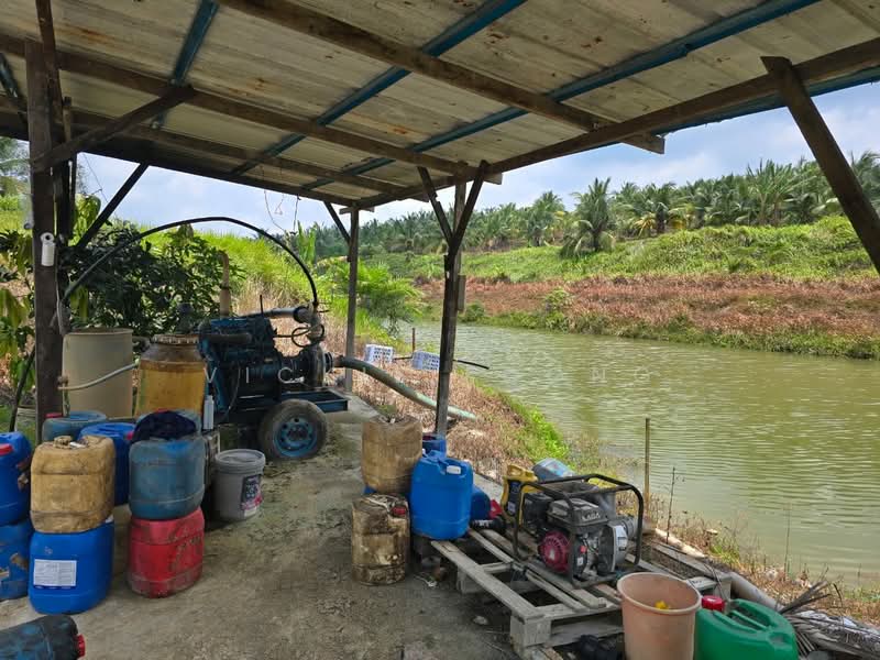 Agricultural Land for Sale in Selandar (Melaka) - Vickie Foong - Exterior - PropertyGuru.com.my